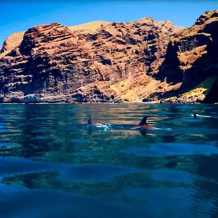 Modern In Americas, Lk520 With Pool Close To The Ocean Appartement Playa de las Américas