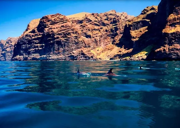 Modern In Americas, Lk520 With Pool Close To The Ocean Appartement Playa de las Américas